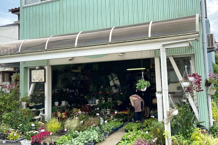 島種苗店 Shima a plant nursery store